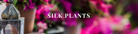 SILK PLANTS