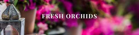 FRESH ORCHIDS